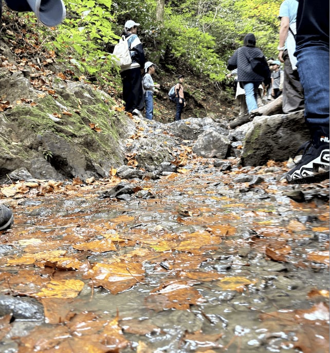 スクリーンショット 2025-11-13 16.21.47.png